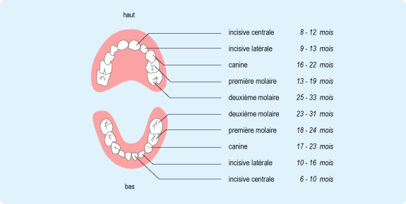 La Poussée Des Dents De Lait : Comment éviter Les Nuits Blanches