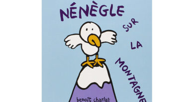 nenegle sur la montagne